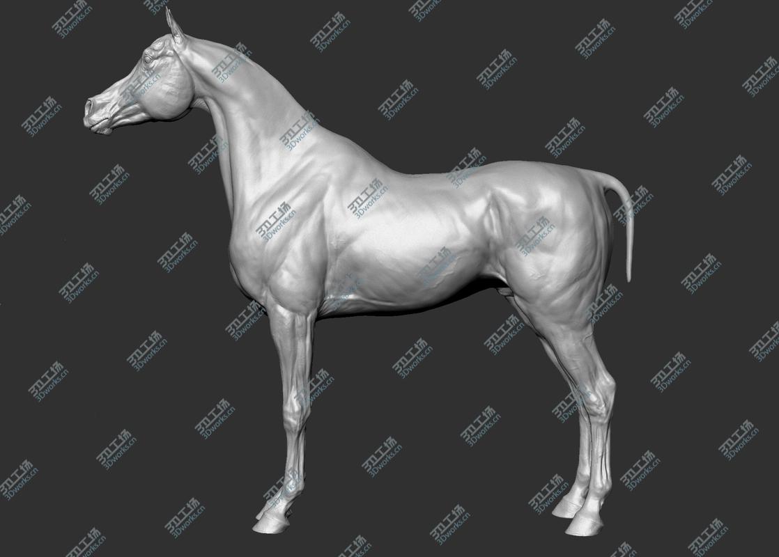 images/goods_img/20210113/3D Horse Collection Vfx Full Cinematic Realistic Zbrush Sculpt 3D model/4.jpg